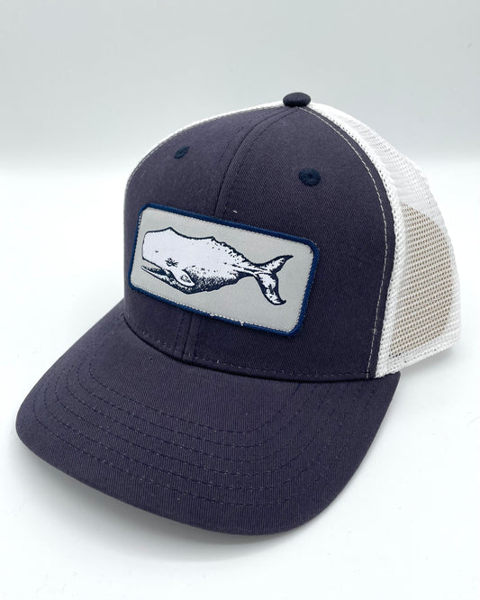 Chatham Whale Snapback