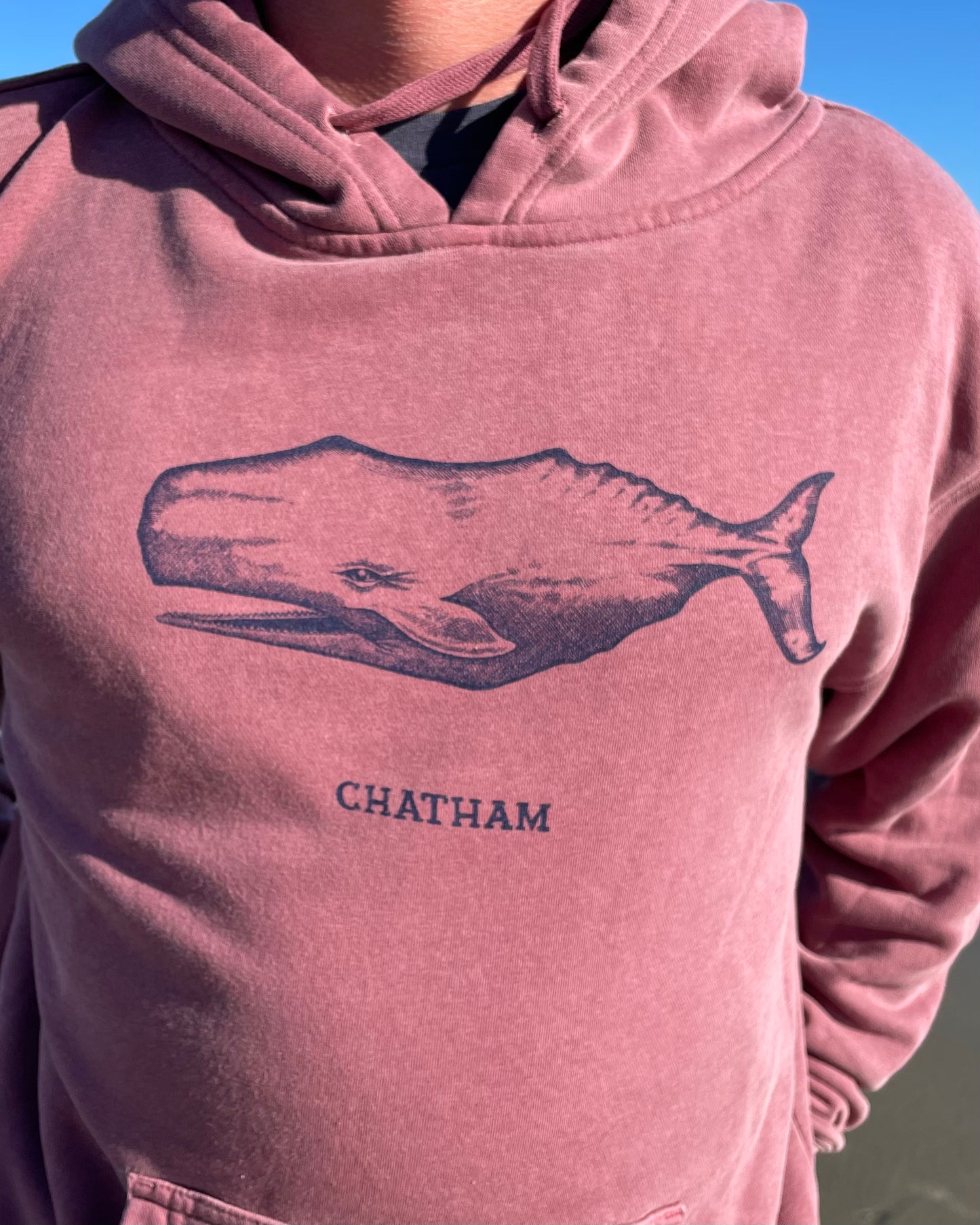 Chatham Whale Hoodie