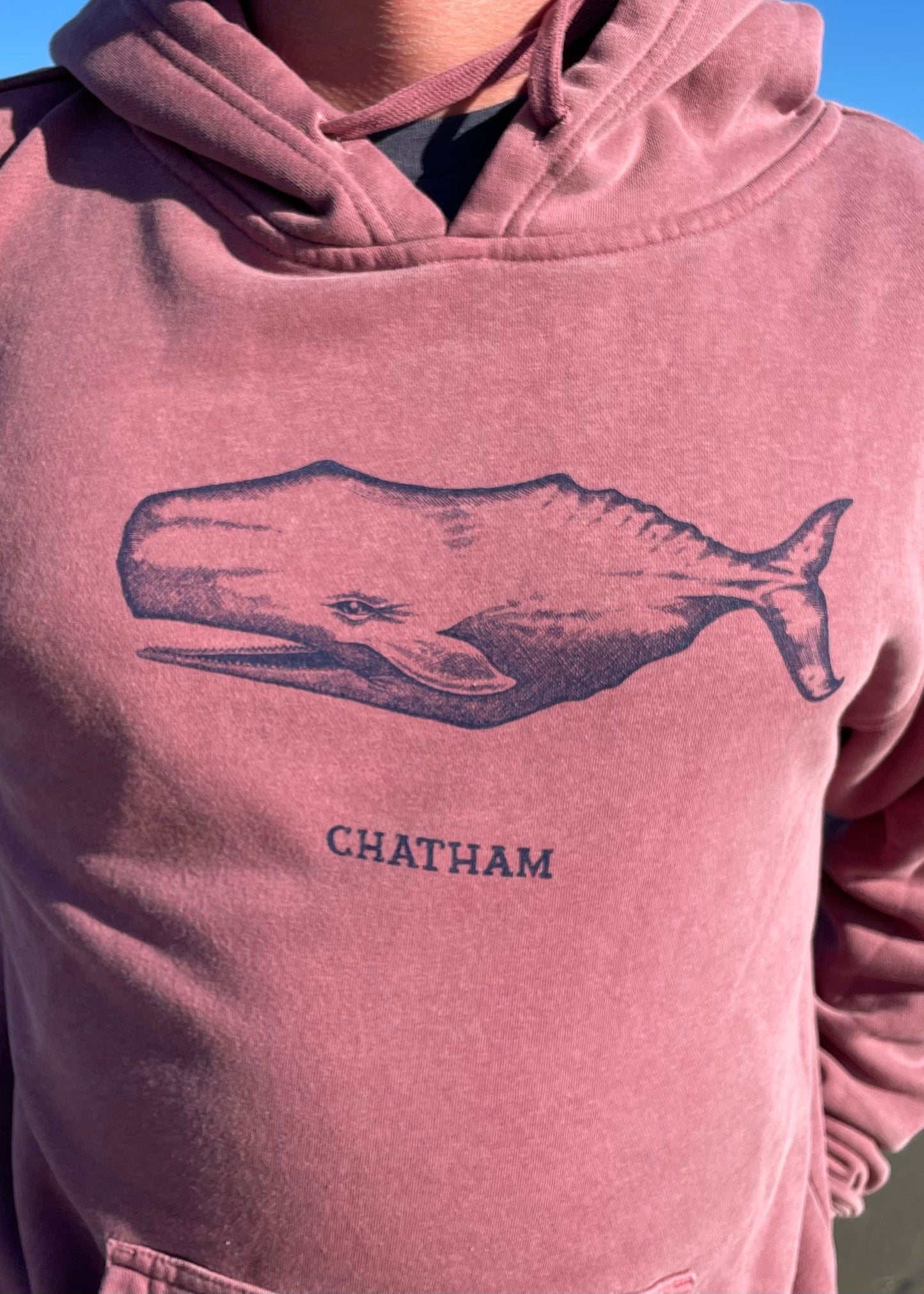 Chatham Whale Hoodie
