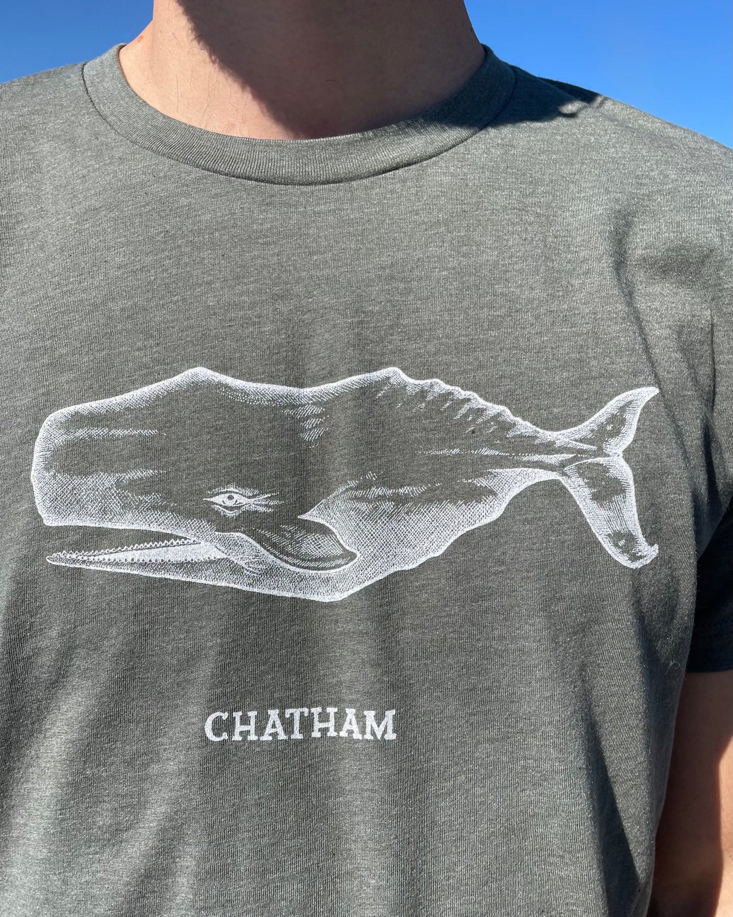 Chatham Whale Tee